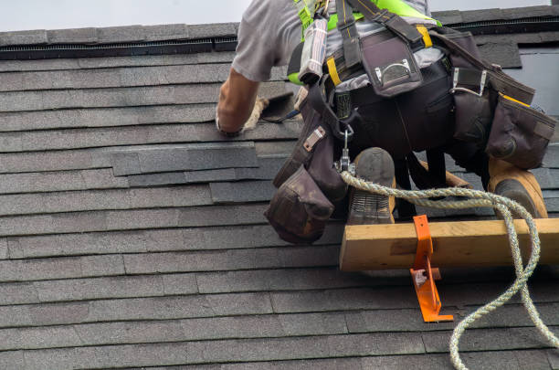 Best Storm Damage Roof Repair  in Livingston, TX