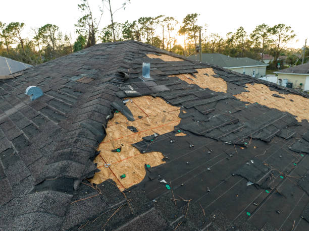 Best Roofing for New Construction  in Livingston, TX