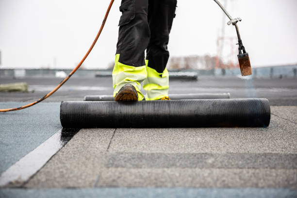 Best Roof Moss and Algae Removal  in Livingston, TX